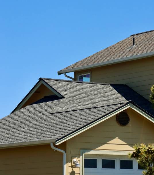 Professional Roofing Services in Mounds View, MN